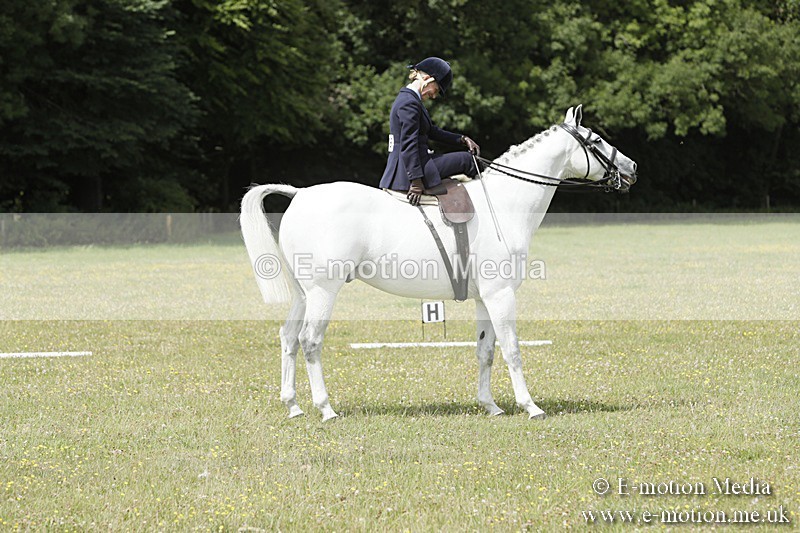 BVR160717-2065 - Class 4 & 5 Dressage 16/07/17