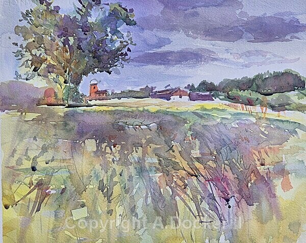 Haddenham Church from Hill Row - Watercolours