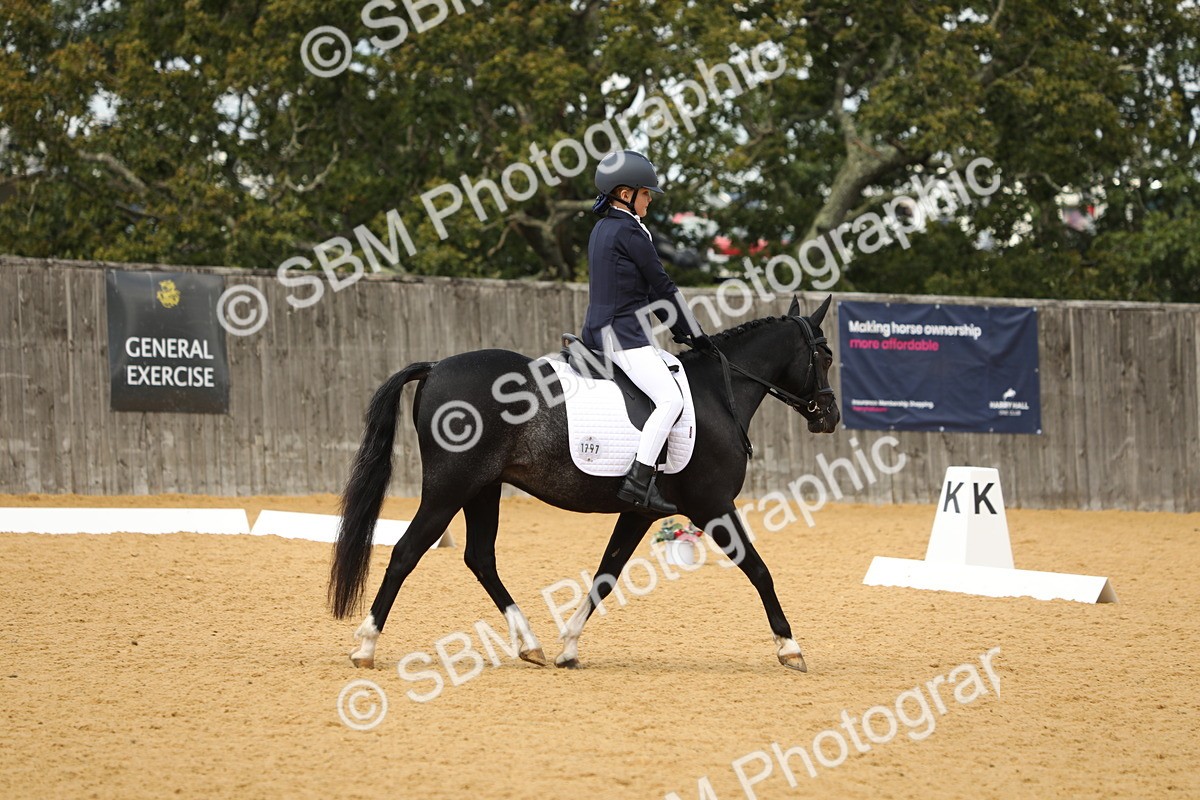 SBM_41871 - D21 - Junior Championship - Intro A