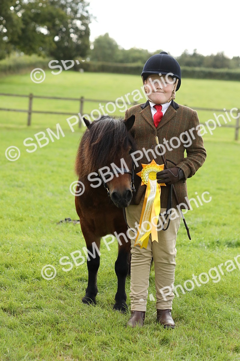 SBM_62864 - S46 - Mountain & Moorland In Hand Small Breeds