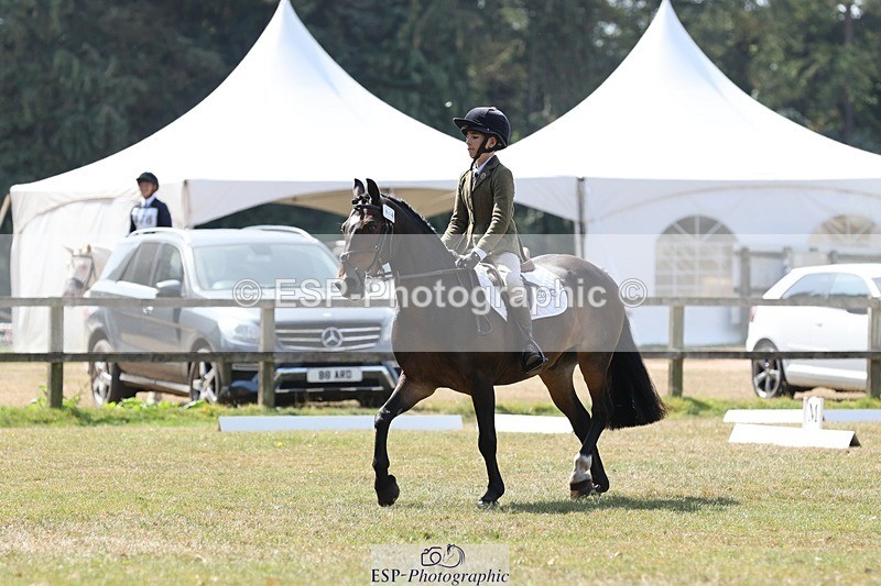 250823A-123309-29817 - Arena C