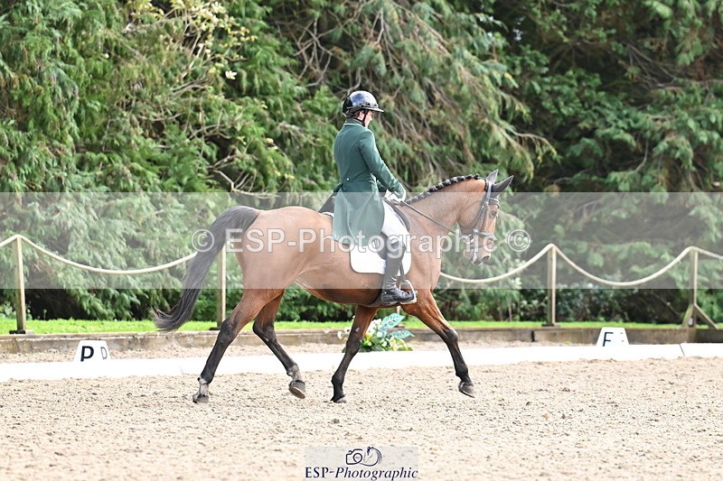 251023A-140731-05154 - C-244-Patrick.Whelan