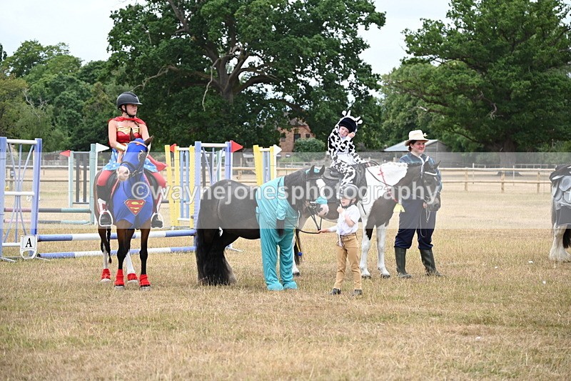 WJ6_9190 - Class 11 Fancy Dress