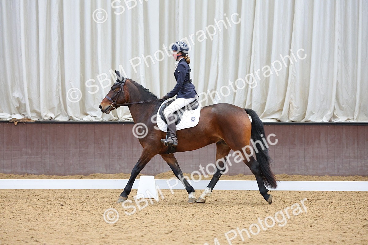 SBM_003007 - Novice