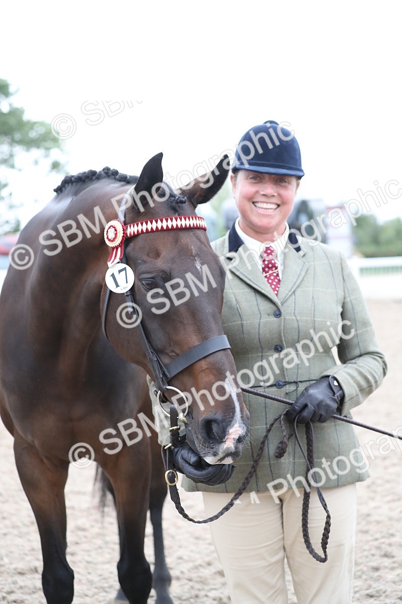 SBM_17983 - Class 317 IH Pure bred Horse/Pony