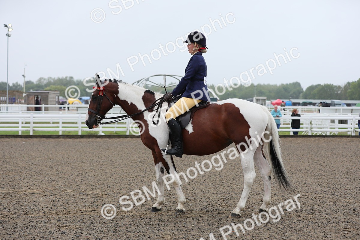 SBM_19889 - Class 801 - Ridden Veteran
