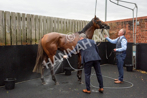 210824-Race 4-City Of Troy-1043 - Race 4 3.35pm Juddmonte International Stakes