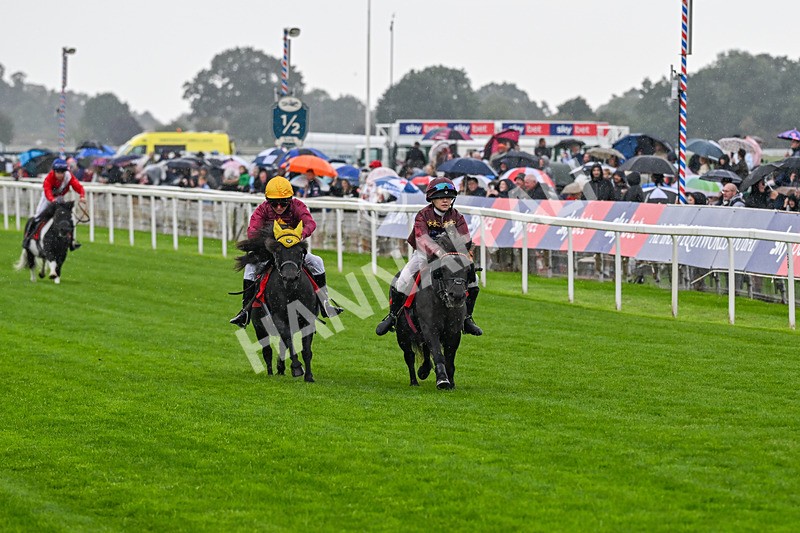 060926-Shetland Pony Race-Claredale Edward-6038 - Shetland Pony Racing 12.30pm