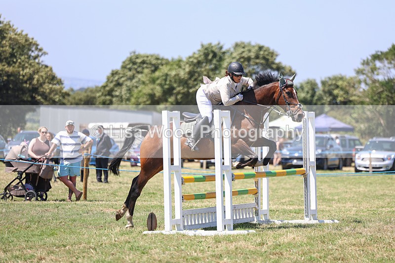 3E7A4351 - Class 10: Senior British Novice/90cm open