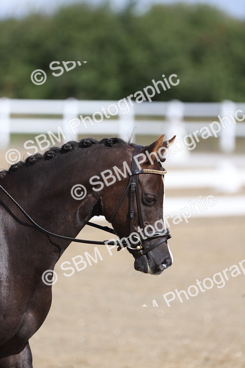 SBM_001299 - Class 2 - Intro 4 Champs - 10.56-11.44