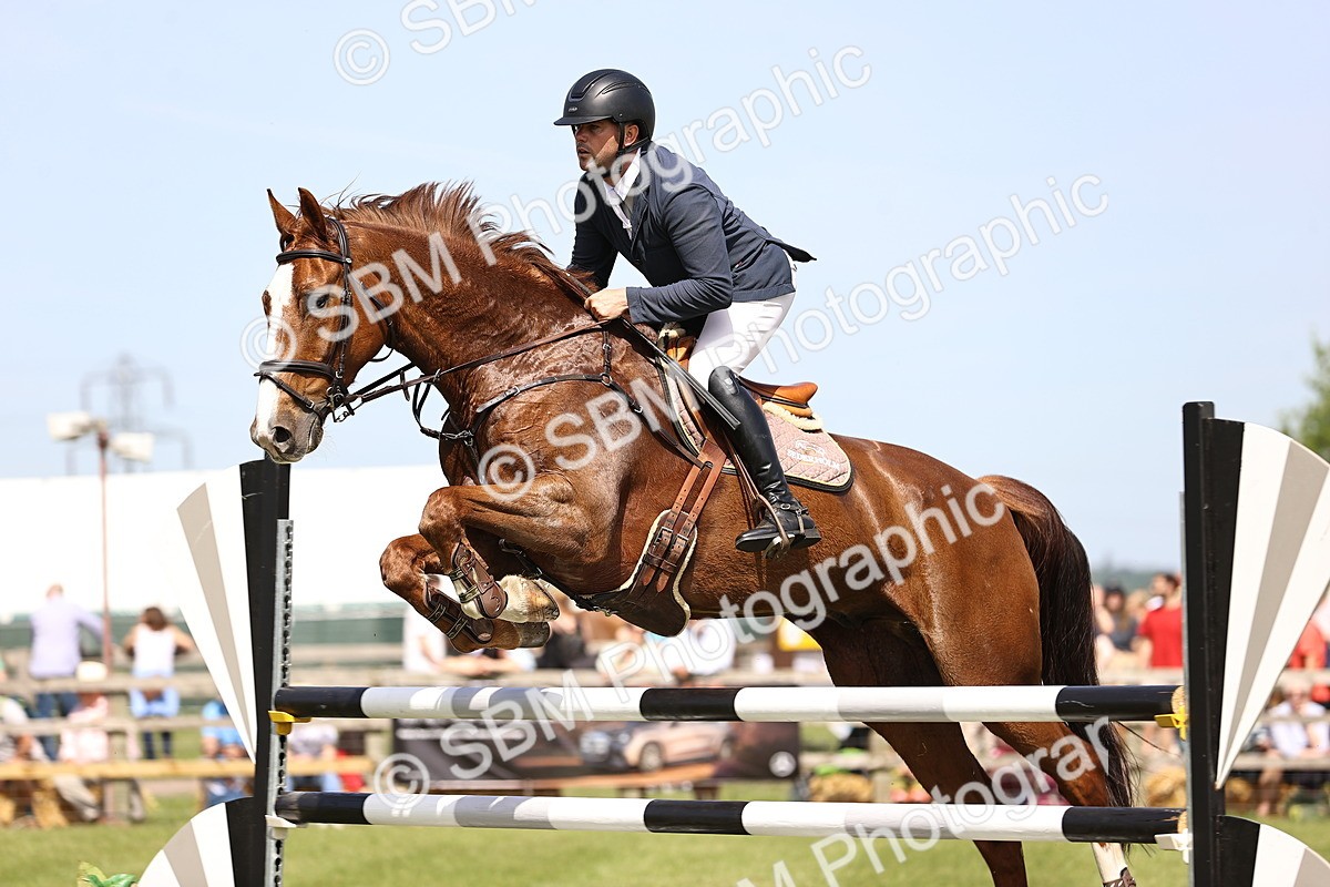 SBM_03293 - Class 201 - British Horse Feedds Speedi Beet HOYS Grade C