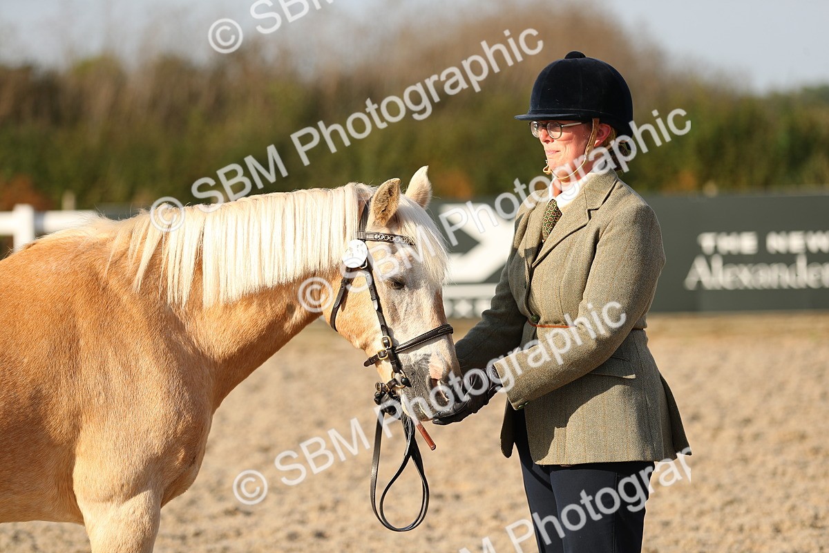 SBM_08955 - Class 29 IH Veteran Pony