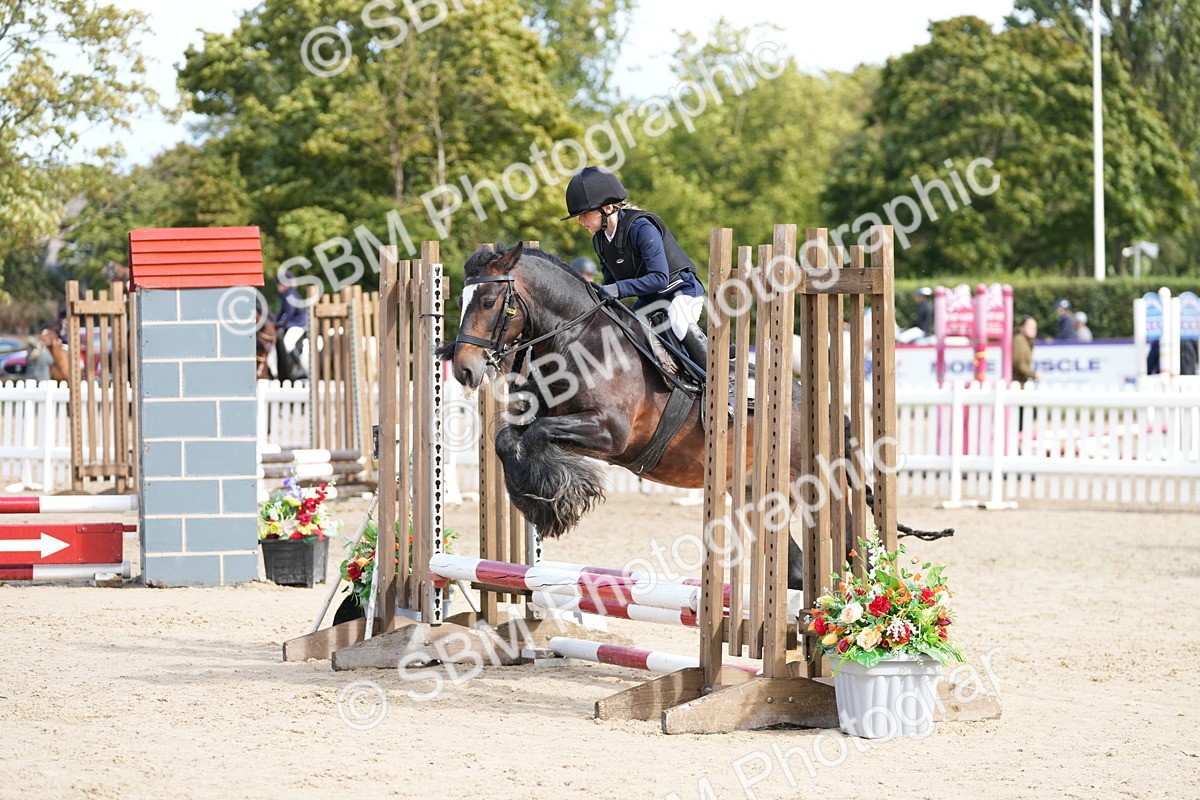 SBM_20628 - J49 - Open 50cm