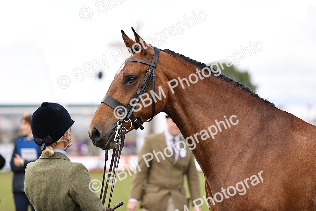 SBM_14745 - Class 88-89 - LIHS BSHA Rising Star of Ridden Hunter Type
