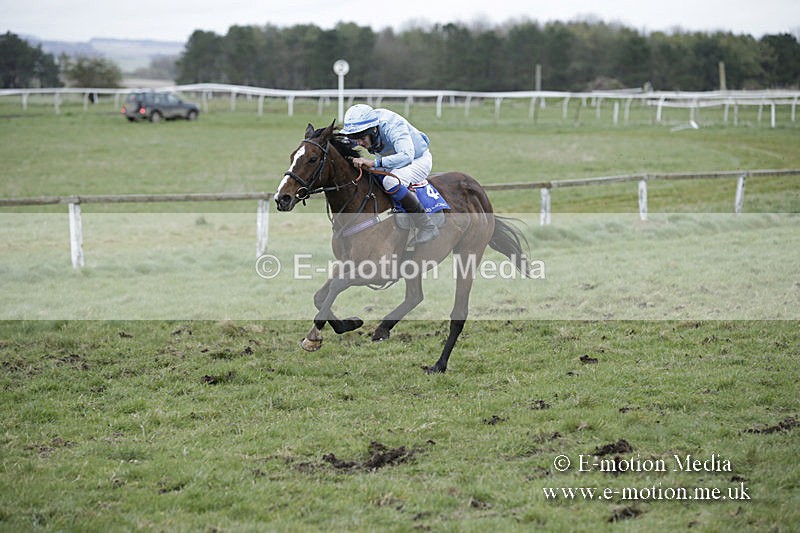 PtP 150320 0896 - New Forest Point-to-Point Larkhill 15/03/20