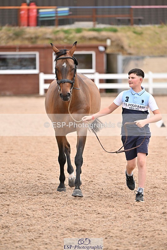 250716-142946-01117 - Trot Up 1.30 to 2.30