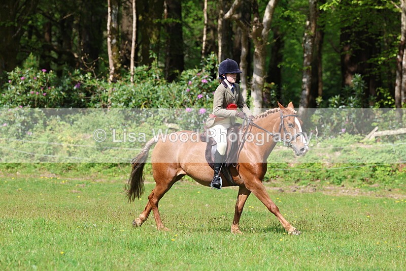 3E7A2683 - Working Hunter Championship