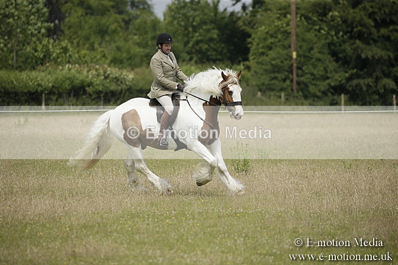 B230619-0450 - Bourne Valley Riding Club Summer Show 23/06/19