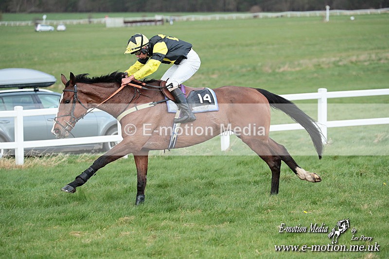 PtP 230324 894 - Tedworth Hunt PtP Larkhill Raccourse 23rd March 2024