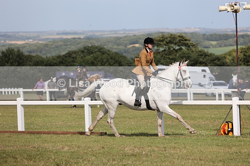 JPP_2920 - Class 20: Working Hunter 70cm