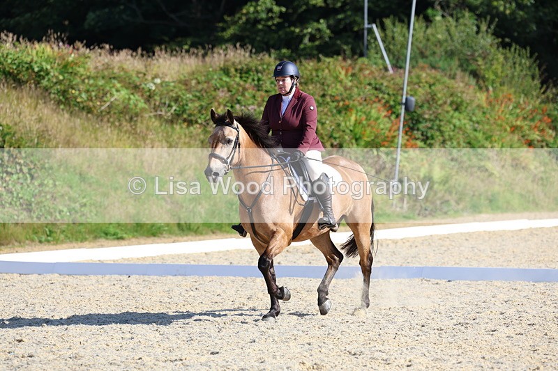 3E7A3392 - Class 2: Intro 1 2024 Section B