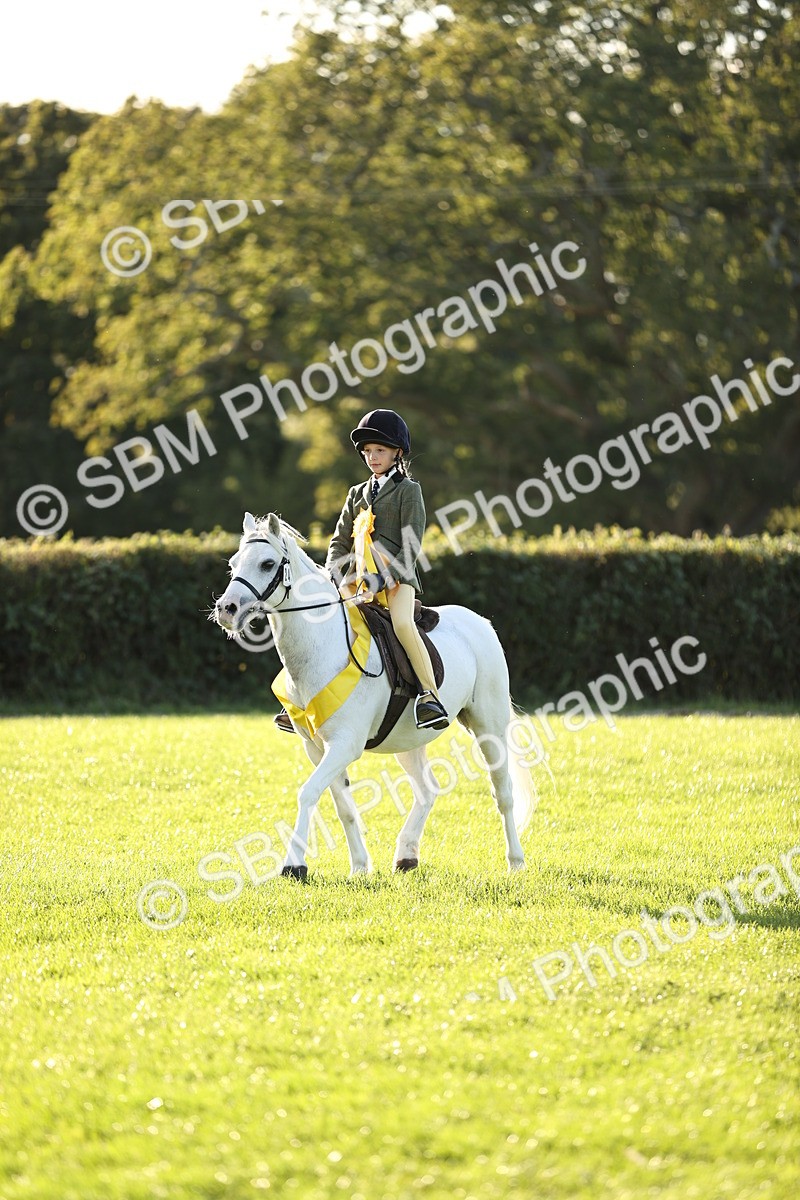 SBM_30116 - Novice & Newcomers Supreme Championship