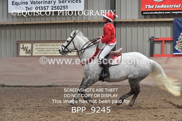 BPP_9245 - CLASS 4 50CM Novice Show Jumping