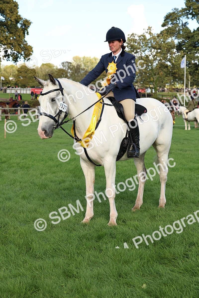 SBM_50177 - S34 - Novice & Newcomers Working Hunter