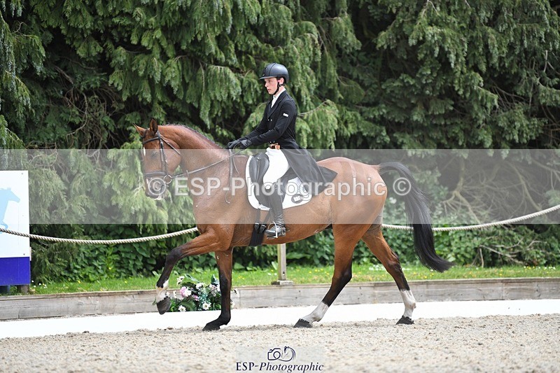 230525-140957-03102 - 318-JUST_HAVE_FAITH_TN-Alfie_Marshall-WEDTrotUp+DR