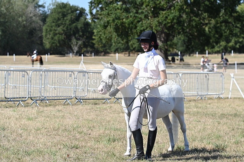WJ6_9382 - Class 40 Cheekiest Pony/Horse