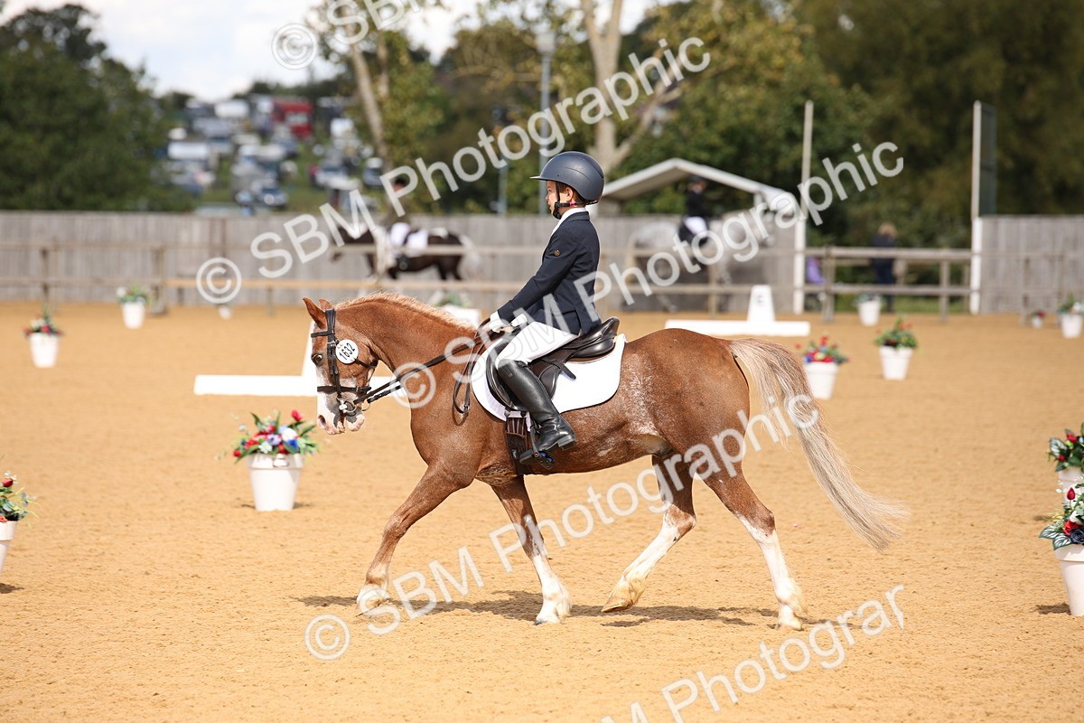 SBM_06760 - D8 Small Tour Championship Prelim 7