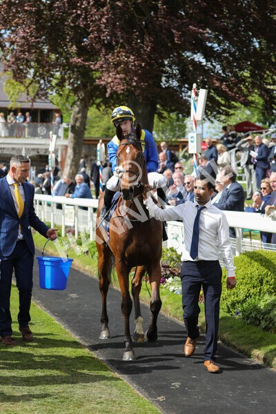 yr12052022r4-56 - Race 4 3.35pm Al Basti Equiworld Dubai Dante Stakes