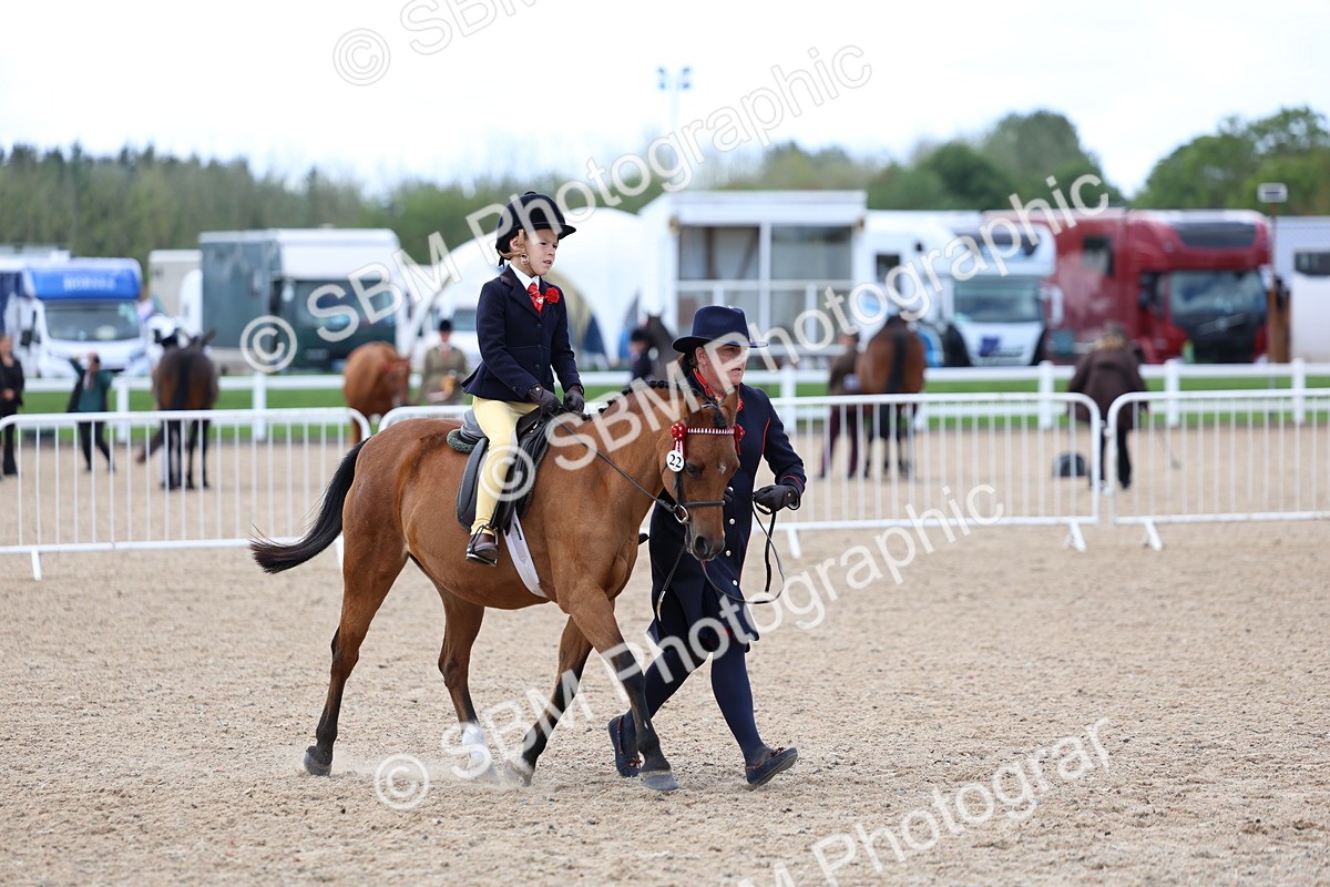 SBM_13092 - Class 309 - Lead Rein Pony