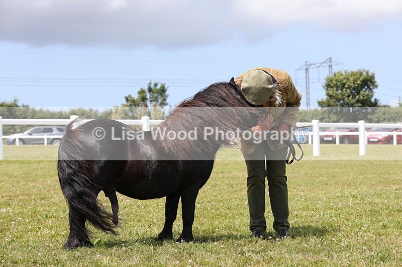 1X9A4851 - Class 35: Veteran In Hand