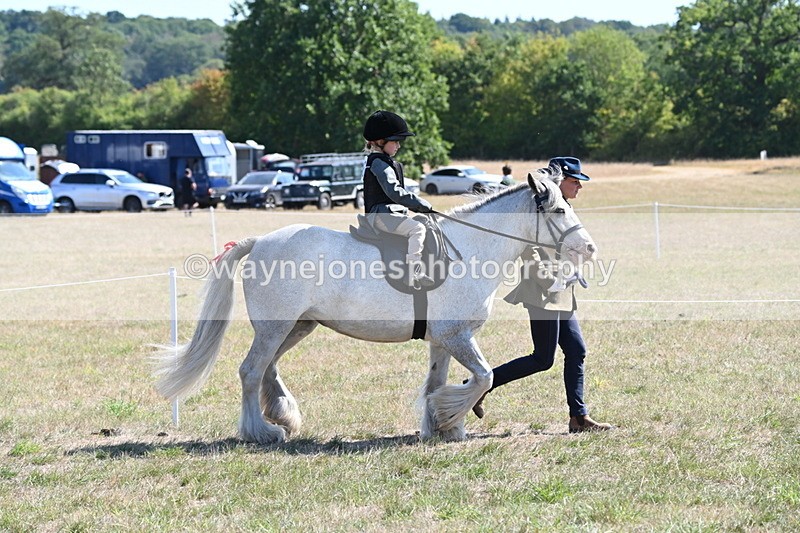 WJ6_7816 - Class 36 Lead Rein
