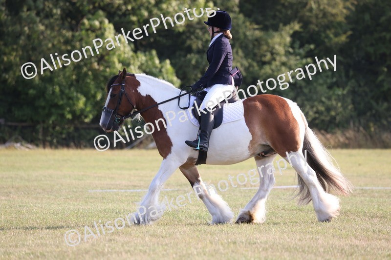 20250731-0801 - Class 1 - Intro 4