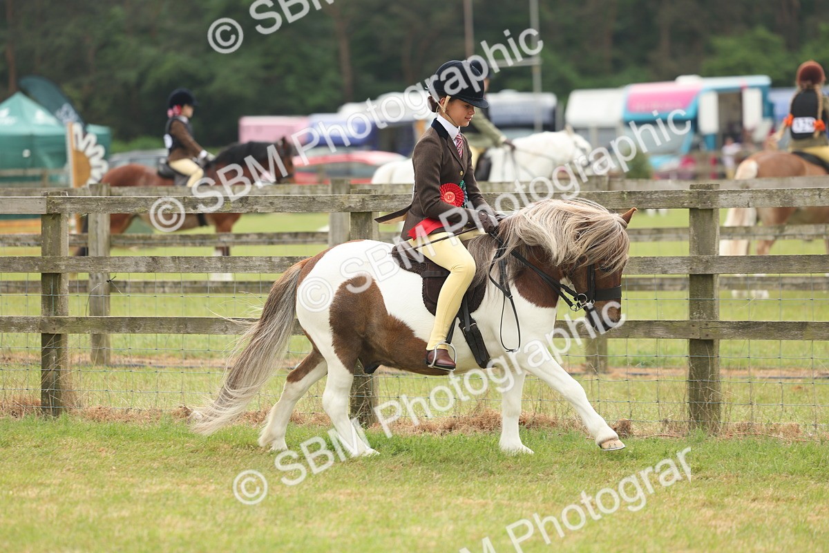 SBM_08906 - Class 78-80 - Ridden M&M Non Welsh Ponies