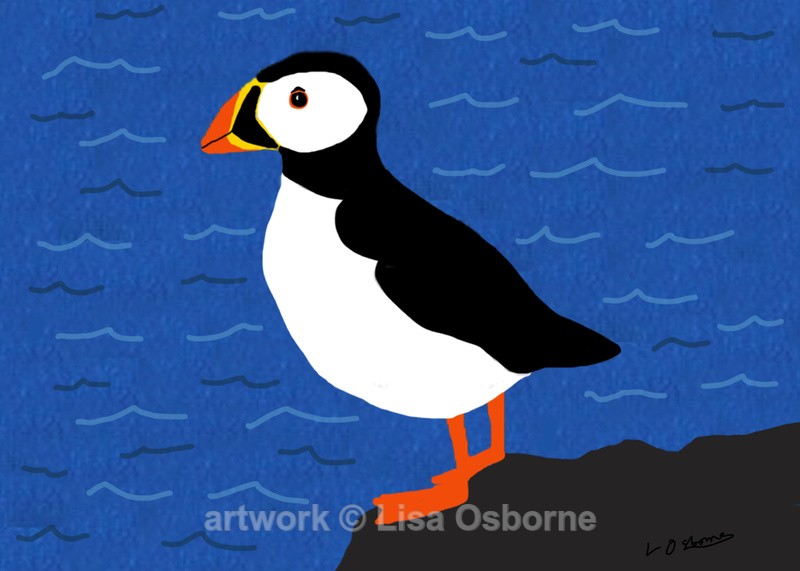 Puffin - DIGITAL ARTWORK