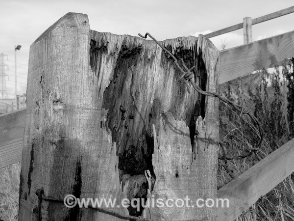  - Wildlife & Landscape