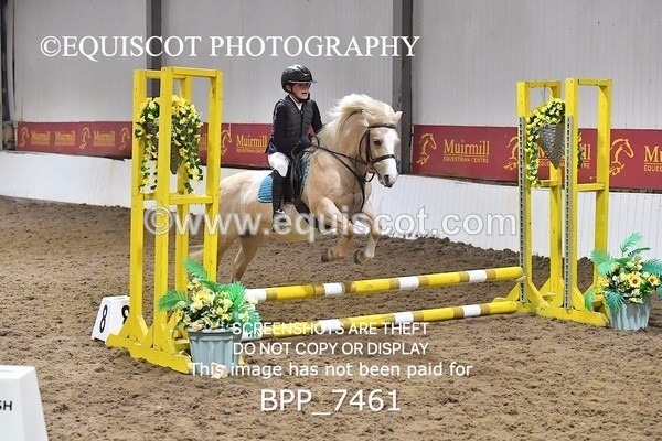 BPP_7461 - 40CM WORKING HUNTER