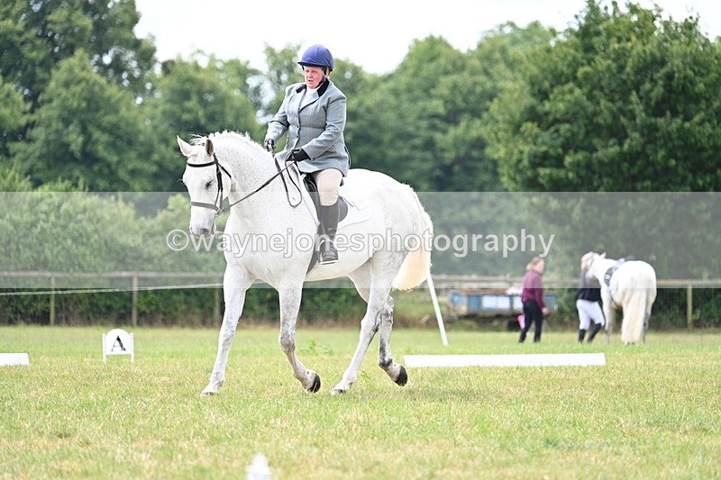 WJ7_5007 - Time 11:22 to 11:51