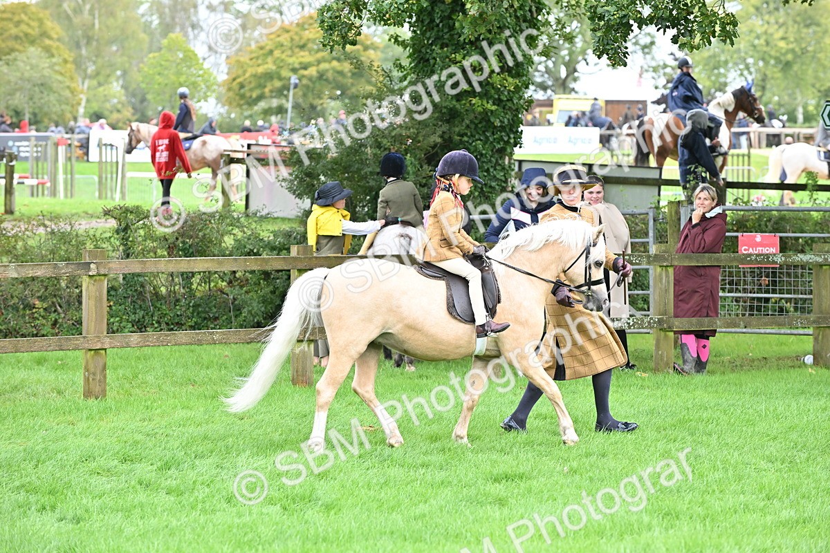 SBM_40142 - S20 - Lead Rein Mountain & Moorland Pony