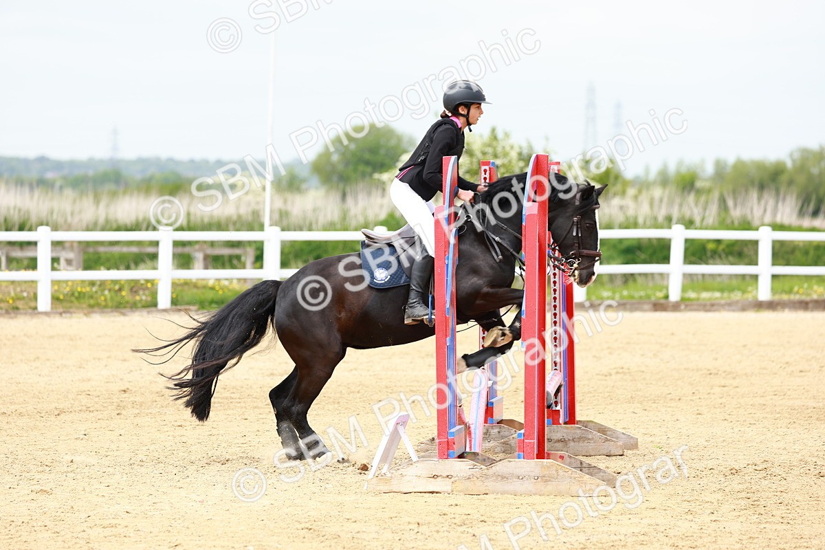 SBM_008097 - Class 3 - 60cm