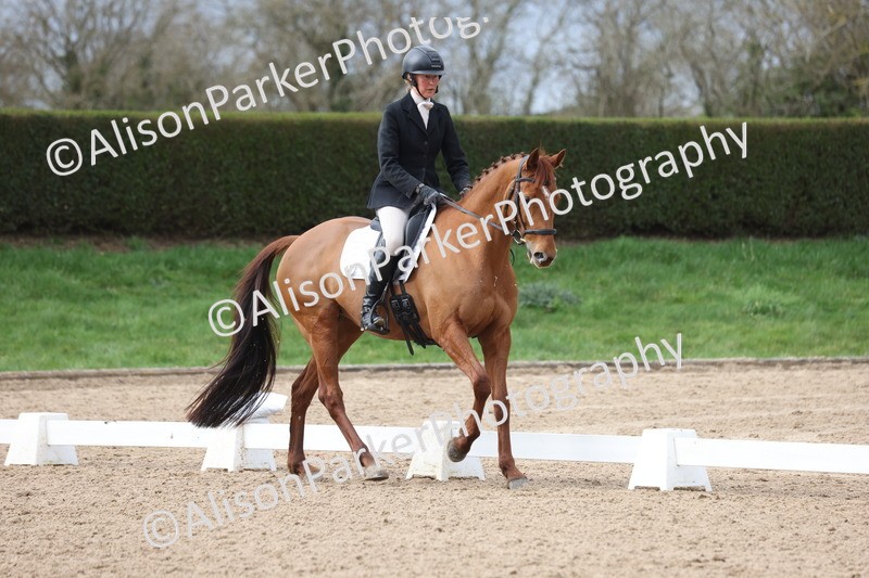 20260301-0524 - Class 4 - Novice 5