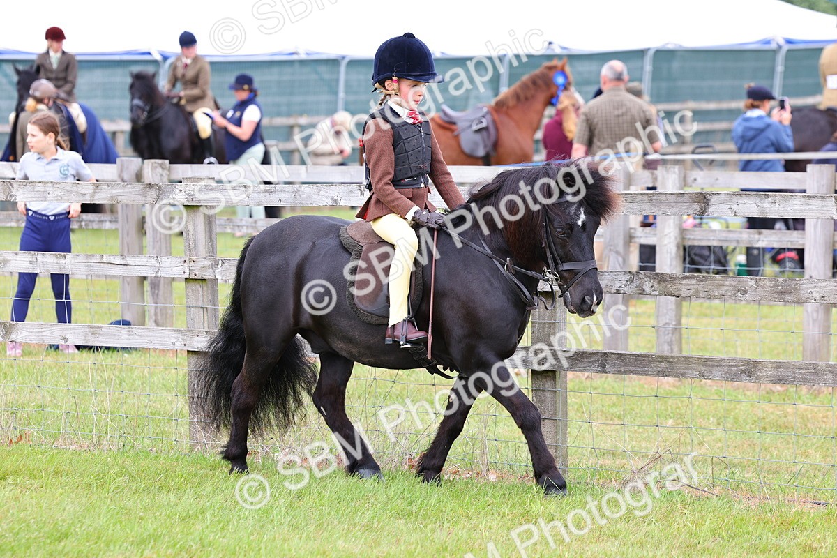 SBM_08493 - Class 42-43 - LIHS BSPS Heritage Working Sports Pony