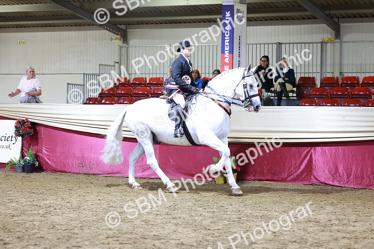 SBM_21169 - class Q - Ridden Horse Champ