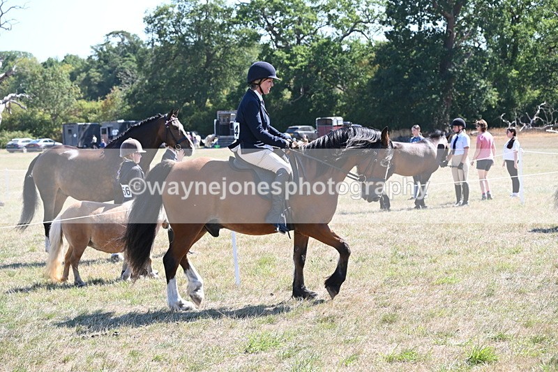 WJ6_8250 - Class 37a Best Loan Pony Ridden