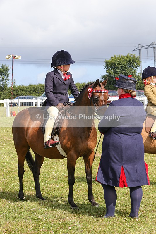 1X9A3662 - Class 29: Lead Rein SP/SHP