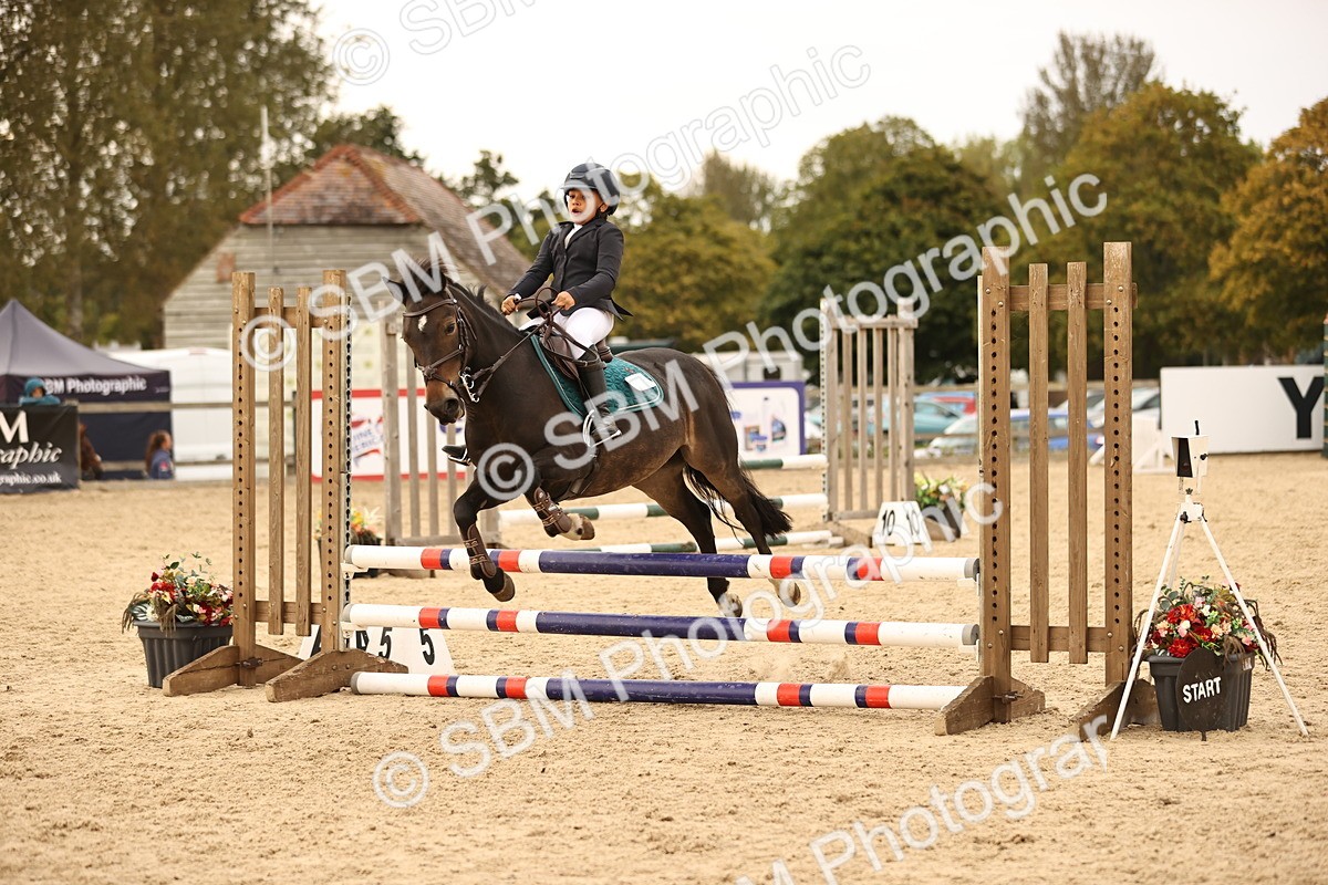 SBM_74296 - J14 - Junior Pony 65cm Championship