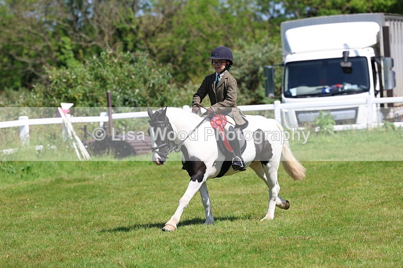 3E7A6765 - Working Hunter Pony Championship